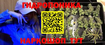 а пвп мука Будённовск