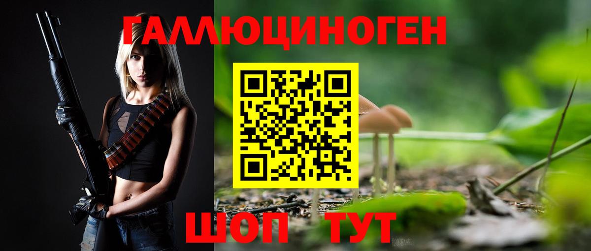 Псилоцибиновые грибы мицелий Барнаул